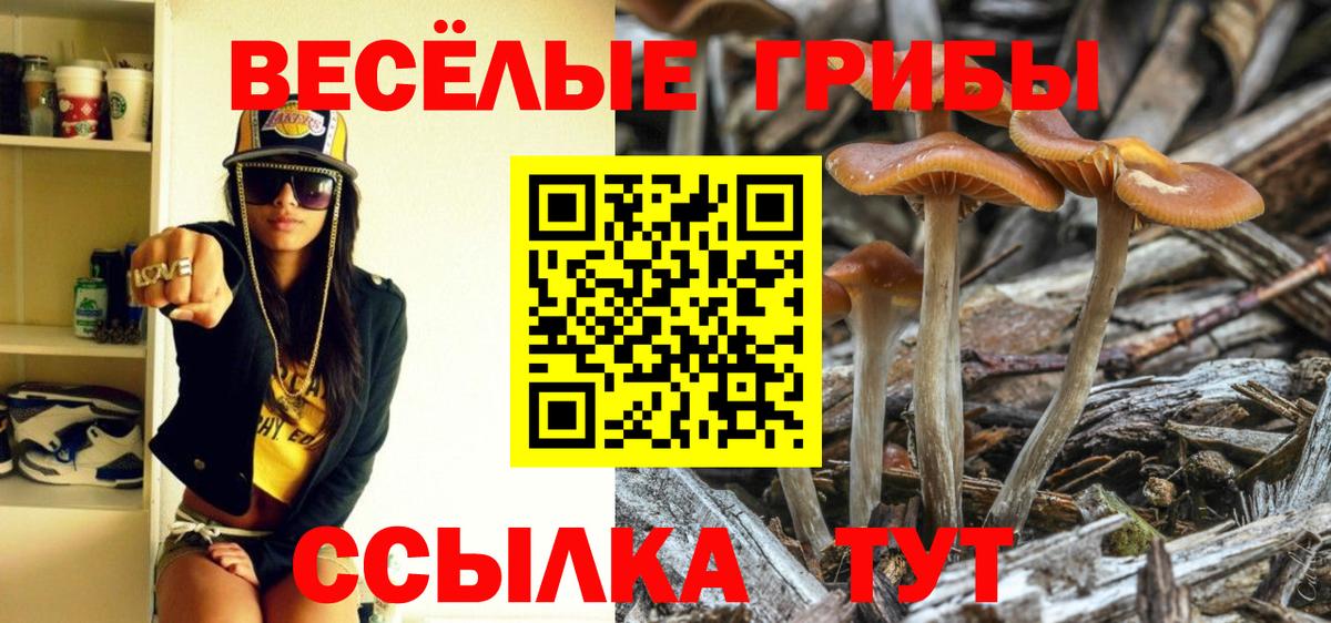 Псилоцибиновые грибы Psilocybe  купить   Усинск  Псилоцибиновые грибы ЛСД 