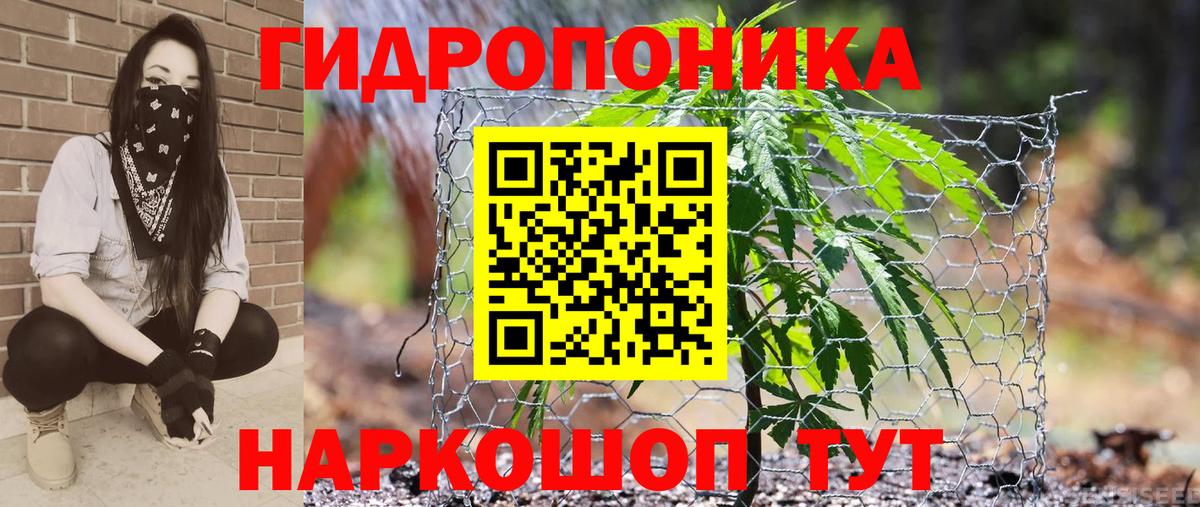 Шишки марихуана OG Kush Усинск